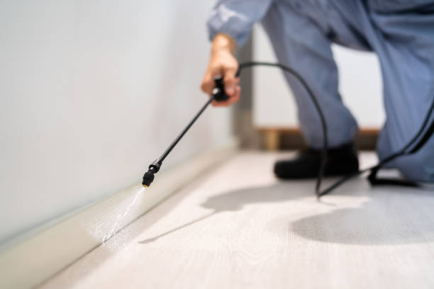Bed Bug Pre-Treatment Preparation Assessment in Hartselle