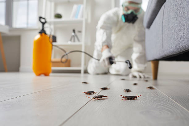 Post-Treatment Bed Bug Interceptor Monitoring in Hartselle