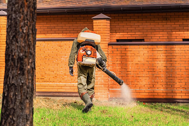 Bed Bug Clearance Verification and Documentation in Hartselle